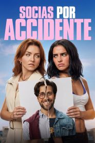 Accidental Partners (2026)