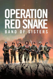 Sisters in Arms (2019)