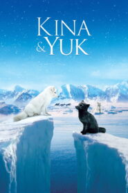 Kina & Yuk (2023)