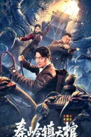 The Sky Coffin in Qinling Town (2023)